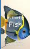 It's Time to Learn about Butterfly Fish
