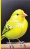 It's Time to Learn about Canaries