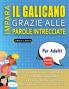 IMPARA IL GALICANO GRAZIE ALLE PAROLE INTRECCIATE - PER ADULTI - Scopri Come Migliorare Il Tuo Vocabolario Con 2000 Crucipuzzle e Pratica a Casa - 100 Griglie Di Gioco - Materiale Didattico e Libretto Di Attività