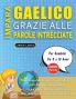 IMPARA GAELICO GRAZIE ALLE PAROLE INTRECCIATE - Per Bambini Da 8 a 10 Anni - Scopri Come Migliorare Il Tuo Vocabolario Con 2000 Crucipuzzle e Pratica a Casa - 100 Griglie Di Gioco - Materiale Didattico e Libretto Di Attività