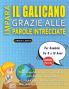 IMPARA IL GALICANO GRAZIE ALLE PAROLE INTRECCIATE - Per Bambini Da 8 a 10 Anni - Scopri Come Migliorare Il Tuo Vocabolario Con 2000 Crucipuzzle e Pratica a Casa - 100 Griglie Di Gioco - Materiale Didattico e Libretto Di Attività