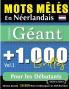 MOTS MÊLÉS EN NÉERLANDAIS FORMAT GÉANT