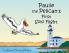Paulie the Pelican's First Solo Flight