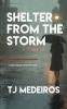Shelter From The Storm
