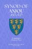 Synod of Anjou