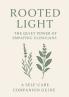 Rooted Light