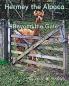 Hermey the Alpaca - Beyond the Gate