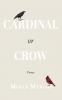 Cardinal or Crow