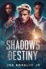 Shadows of Destiny