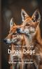 It's Time to Learn about Dingo Dogs