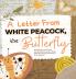 A Letter from White Peacock the Butterfly