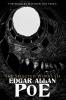 The Selected Works of Edgar Allan Poe