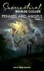 Supernatural Worlds Collide - Pennies and Angels - Book 1
