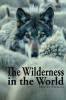 The Wilderness in the World