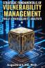 STRATEGIC FUNDAMENTALS OF VULNERABILITY MANAGEMENT FOR  IT CYBERSECURITY ANALYSTS