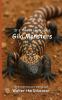 It's Time to Learn about Gila Monsters