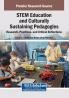 STEM Education and Culturally Sustaining Pedagogies