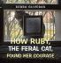 How Ruby the Feral Cat Found Her Courage