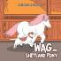 WAG AND SHETLAND PONY