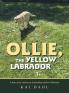 OLLIE THE YELLOW LABRADOR