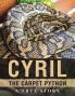 CYRIL THE CARPET PYTHON