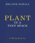 Plant in A Tiny Space