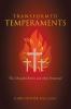 Transformed Temperaments