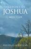 Shadows of Joshua