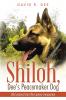 Shiloh Dee's Peacemaker Dog