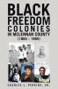Black Freedom Colonies in McLennan County (1865 - 1895)