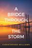 A Bridge Through the Storm