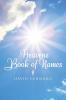Heavens Book of Names