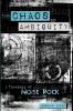 From Chaos to Ambiguity
