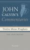 Commentaries on the Twelve Minor Prophets Volume 2