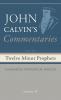 Commentaries on the Twelve Minor Prophets Volume 4