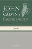 Commentary on the Gospel According to John Volume 2
