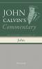 Commentary on the Gospel According to John Volume 2
