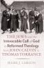 The Jews and the Irrevocable Call of God in Reformed Theology from John Calvin to Thomas Torrance