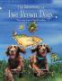 The Adventures of Two Brown Dogs