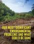 Our Most Significant Environmental Problems and What Could Be Done