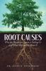 Root Causes
