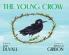 The Young Crow