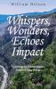 Whispers Wonders and Echoes of Impact