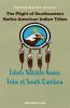 The Plight of Southeastern Native American Indian Tribes