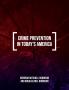 Crime Prevention in Today's America