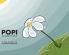 Popi