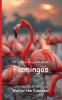It's Time to Learn about Flamingos
