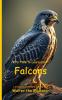 It's Time to Learn about Falcons