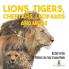 Lions Tigers Cheetahs Leopards and More | Big Cats for Kids | Children's Lion Tiger & Leopard Books