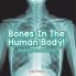 Bones In The Human Body! Anatomy Book for Kids